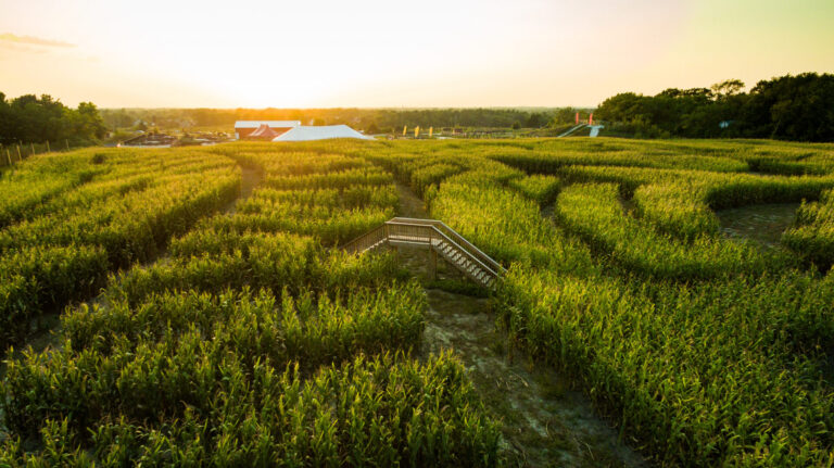 AbbeyFarms2018 0910 Abbey Farms 768x431